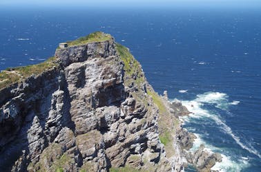Cape Peninsula half-day tour from Cape Town